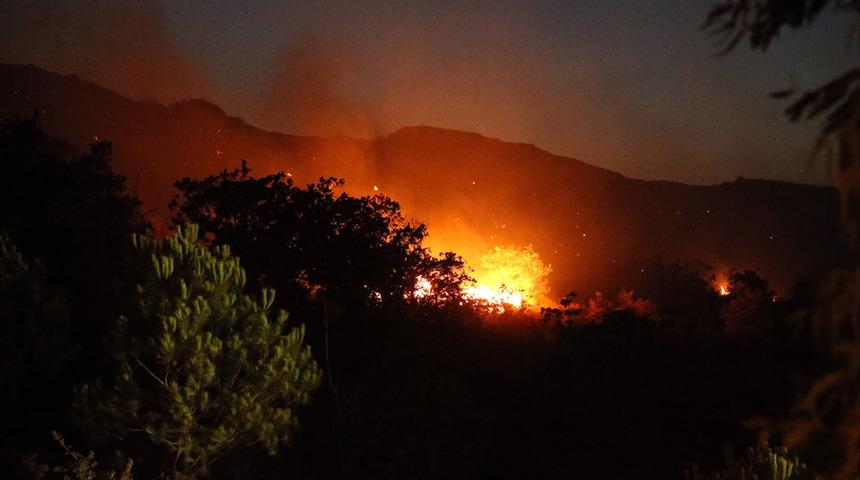 Son Dakika: Bakan Pakdemirli duyurdu! Bodrum yangını kontrol altına alındı