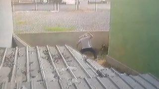 Dehşete düşüren anlar! Civcivlerini kovalayan köpeği öldüresiye dövdü