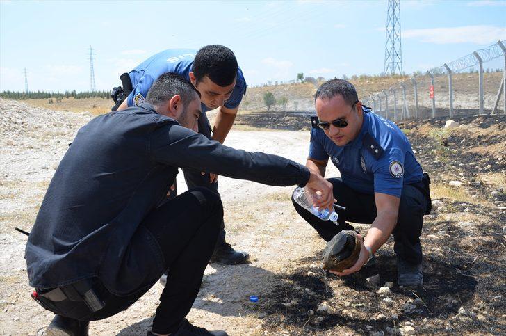 Yangının ortasında kalan kaplumbağayı polisler kurtardı G3