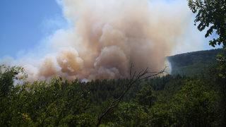Son Dakika: Burdur'da orman yangını! Bazı evler boşaltıldı