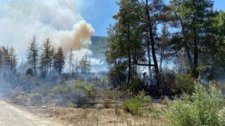 Burdur'un Bucak ilçesinde orman yangını çıktı