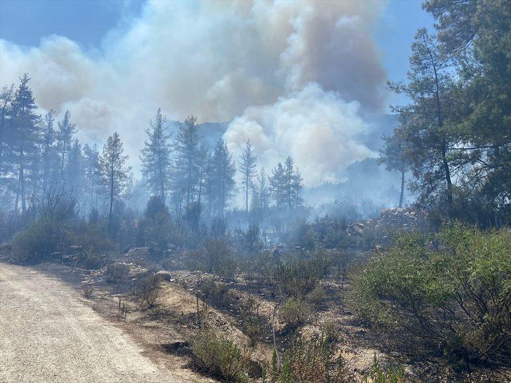 GÜNCELELEME 2 - Burdur'un Bucak ilçesinde orman yangını çıktı G3