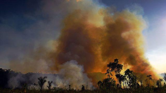 Brezilya'da 2020'de büyük orman yangınları yaşandı