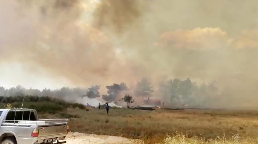 Son Dakika: Manavgat’ta orman yangını