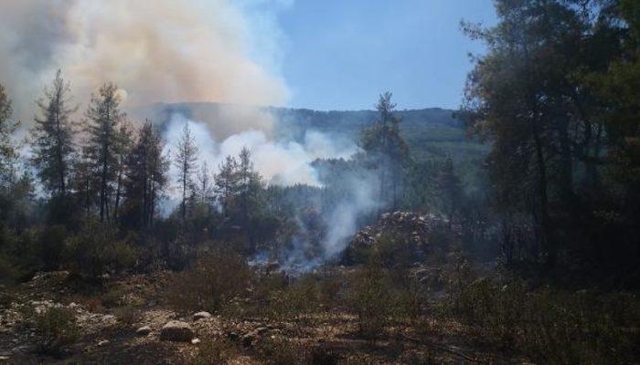 Son dakika: Burdur, Manavgat, Kaş ve Köyceğiz'de orman yangını