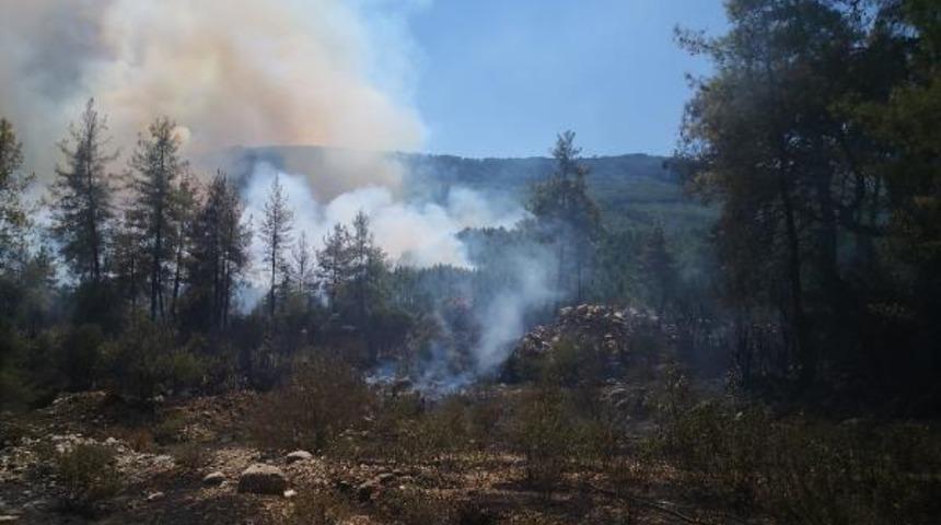 Son dakika: Burdur, Manavgat, Kaş ve Köyceğiz'de orman yangını