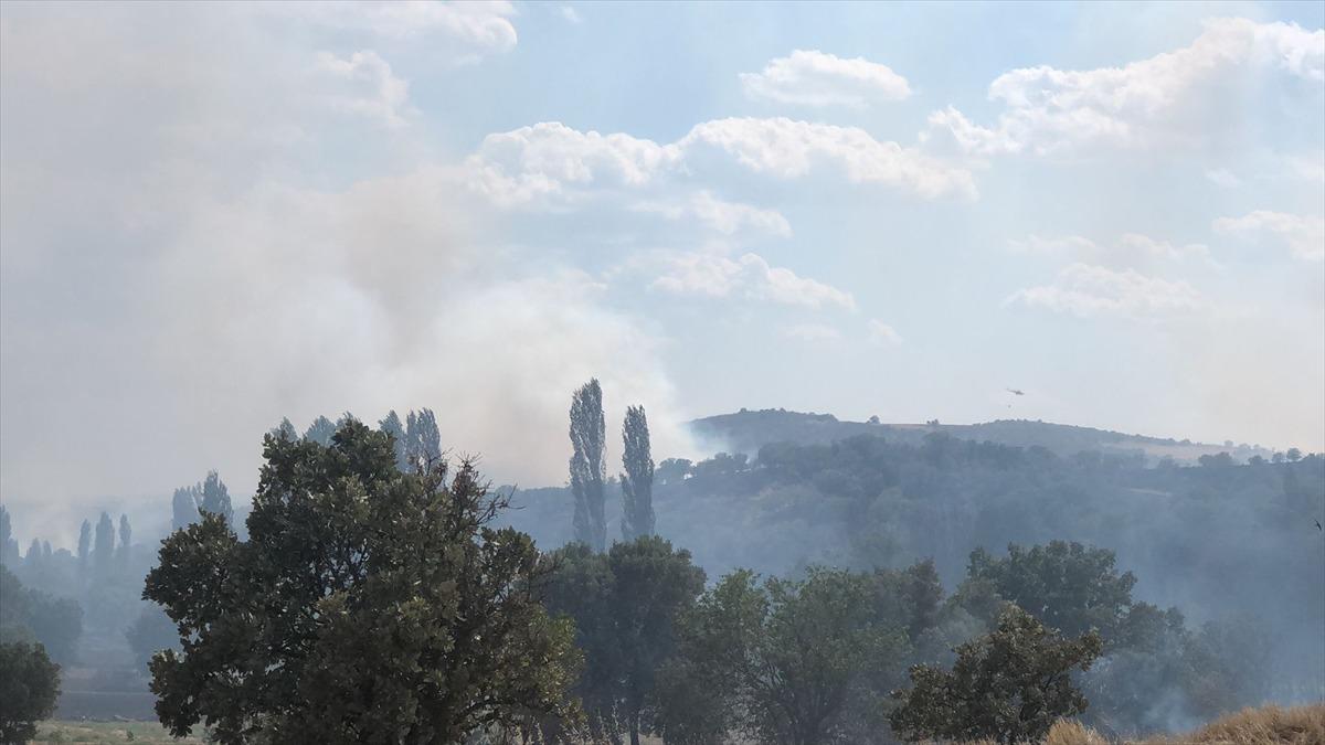 Uşak'ta meşelik alanda &ccedil;ıkan yangına m&uuml;dahale ediliyor
