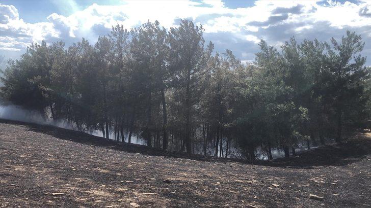 GÜNCELLEME - Adana Kozan'da çıkan orman yangını kontrol altına alındı G5