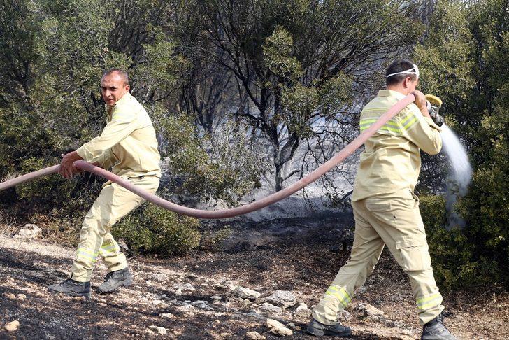 GÜNCELLEME - Uşak'ta tarım arazileri ve meşelik alanda çıkan yangın kontrol altına alındı G4