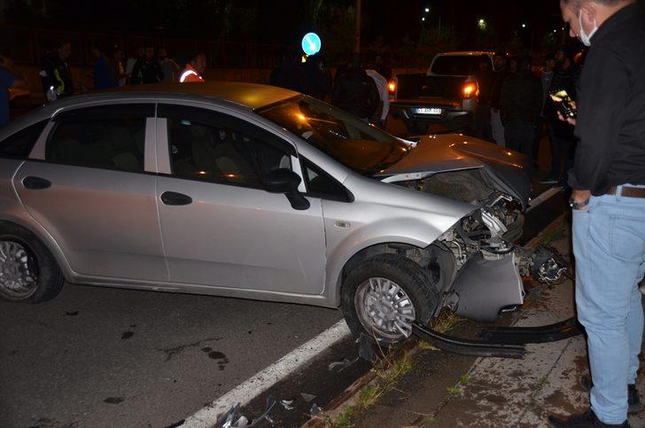 Kars'ta otomobilin çarptığı bozayı telef oldu G1