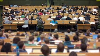 MasterBee nedir? İTÜ'nün MasterBee programının faydaları neler?