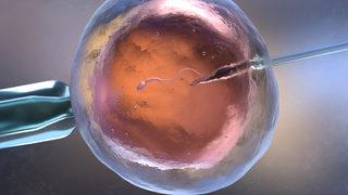 Tüp bebek tedavisi hangi durumlarda, kimlere uygulanır?