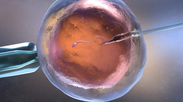 Tüp bebek tedavisi hangi durumlarda, kimlere uygulanır?