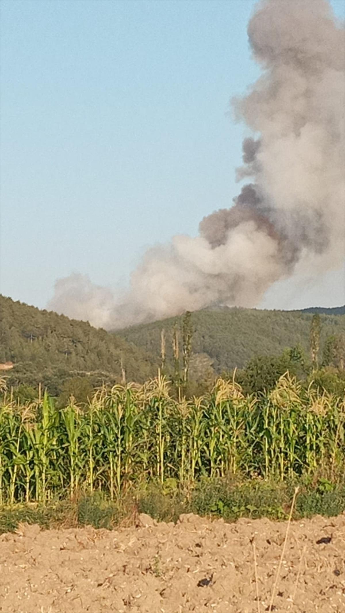 G&Uuml;NCELLEME - Bursa'da &ccedil;ıkan orman yangını havadan ve karadan m&uuml;dahaleyle kontrol altına alındı