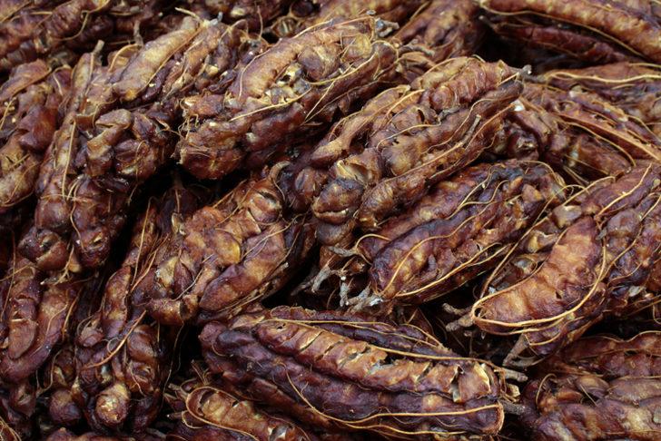 Demirhindi nedir? Demirhindi faydaları nelerdir? G4