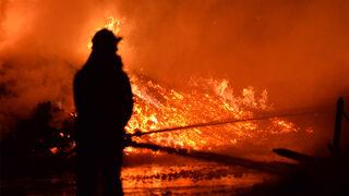 Binlercesi küle döndü! Palet fabrikasında korkutan yangın