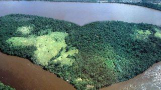 Bu ulusu daha önce duymadığınıza eminiz! Mercan Denizi Adaları’nda kurulan ‘Gay ve Lezbiyen Krallığı’ şaşkınlık yarattı