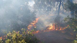 Çanakkale'de ormanlık alanda çıkan yangın söndürüldü