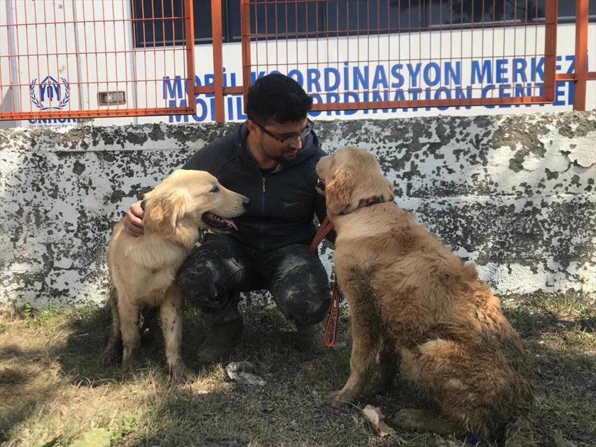 Ayancık'taki sel nedeniyle şantiyede mahsur kalan iki k&ouml;pek iş makinesiyle kurtarıldı