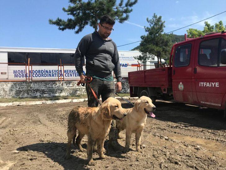 Ayancık'taki sel nedeniyle şantiyede mahsur kalan iki köpek iş makinesiyle kurtarıldı G2
