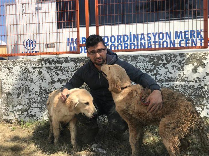 Ayancık'taki sel nedeniyle şantiyede mahsur kalan iki köpek iş makinesiyle kurtarıldı G3