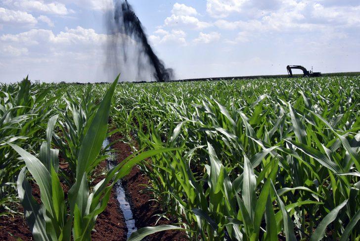 Şanlıurfa'da boru hattı delindi! Ham petrol metrelerce yüksekliğe fışkırdı G2