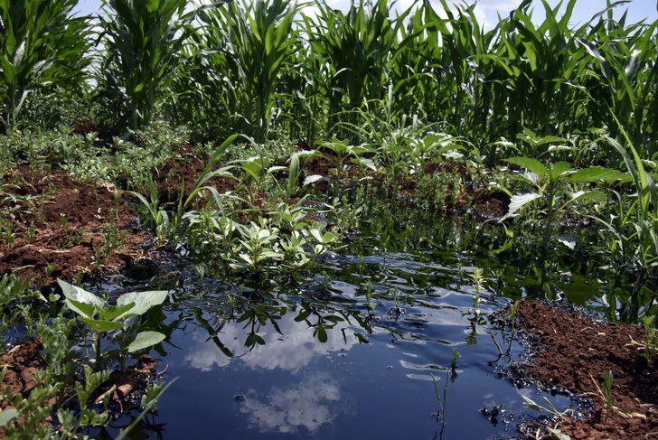 Şanlıurfa'da boru hattı delindi! Ham petrol metrelerce yüksekliğe fışkırdı G5