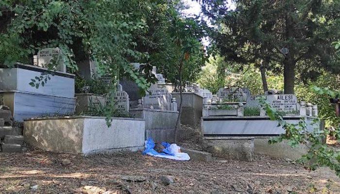Şişli'de mezarlıkta panik! İnsan cesedi zannedildi köpek ölüsü çıktı