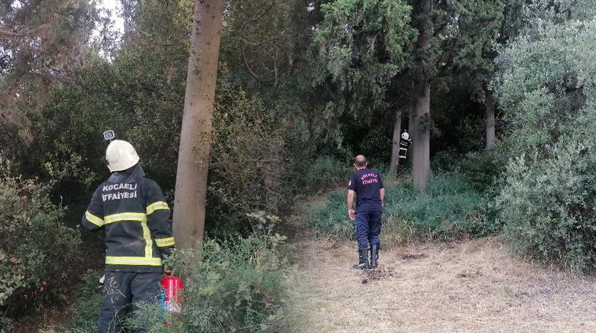 Alevler yok edecekti! Bu kez yangını muhtar söndürdü