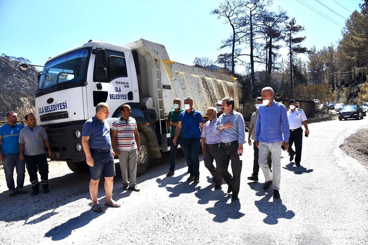 Muğla'da orman yangınlarının yaraları sarılıyor