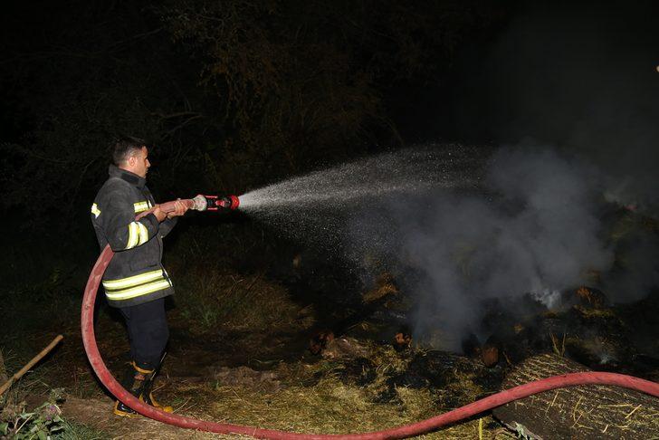 Erzurum’da çıkan ot yangını itfaiye ekiplerince söndürüldü
