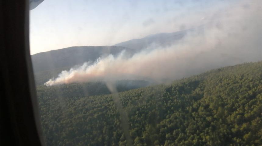 İzmir'de peş peşe orman yangınları