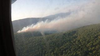 İzmir'de peş peşe orman yangınları