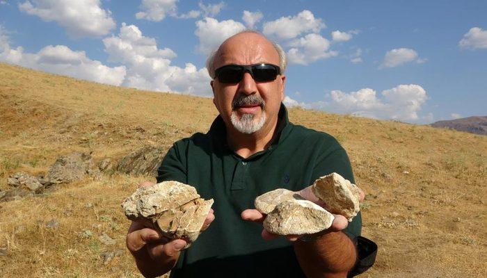Muş’ta heyecanlandıran keşif! 35 milyon yıllık deniz canlıları fosili bulundu