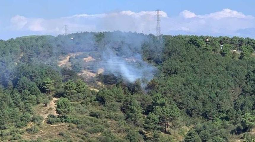 Son Dakika: İstanbul'da orman yangını