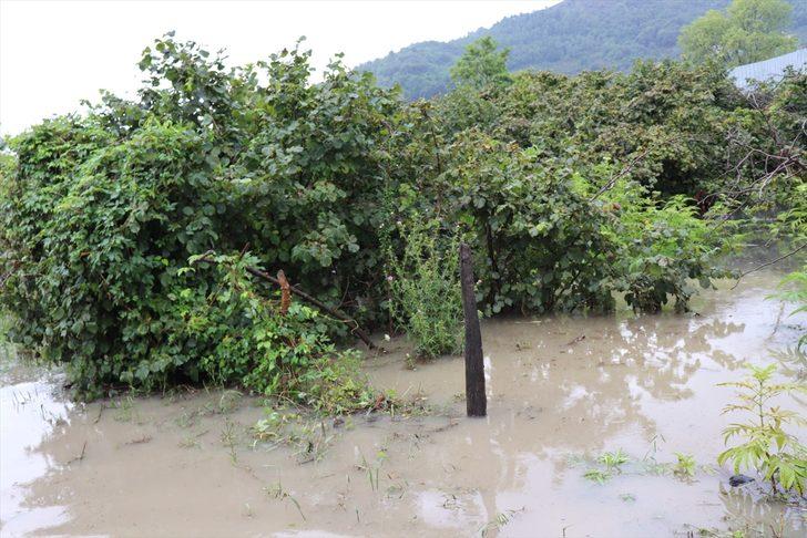 Ordu'nun Ünye ilçesinde dere taştı, ev ve iş yerlerini su bastı G4