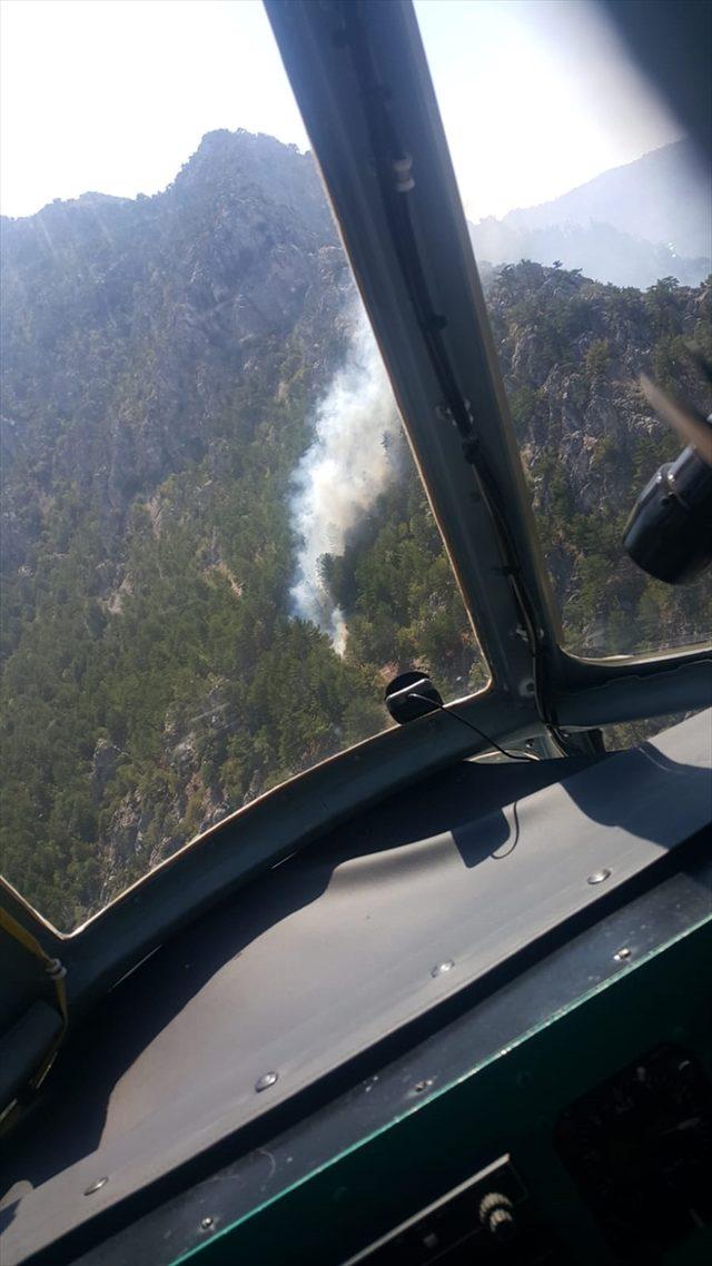 Kahramanmaraş'ta çıkan orman yangınına havadan ve karadan müdahale ediliyor