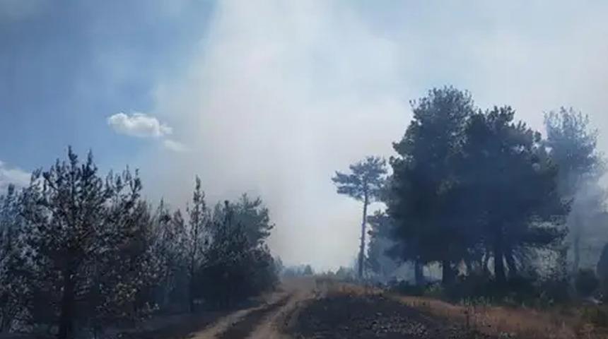 Çanakkale Bayramiç'teki orman yangını kontrol altına alındı