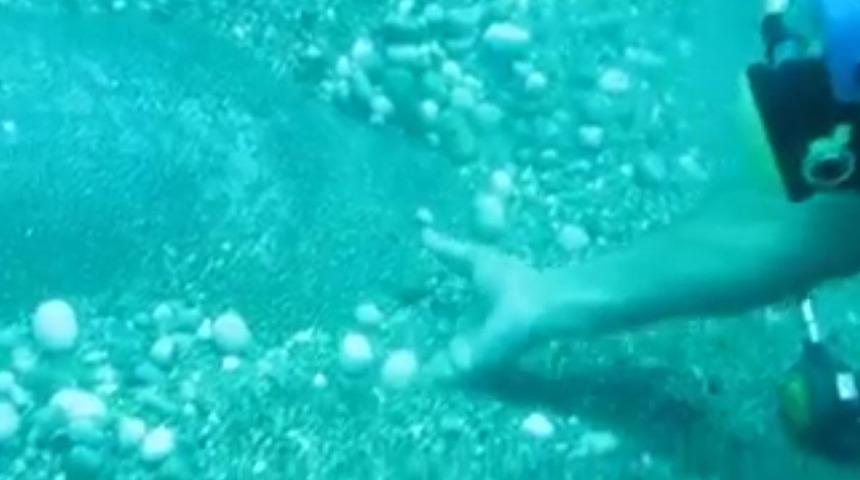 1,5 metre çapında, 80 kilo ağırlığında! Kumların arasında çıkardılar