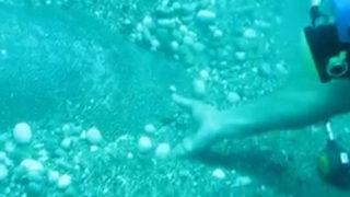 1,5 metre çapında, 80 kilo ağırlığında! Kumların arasında çıkardılar