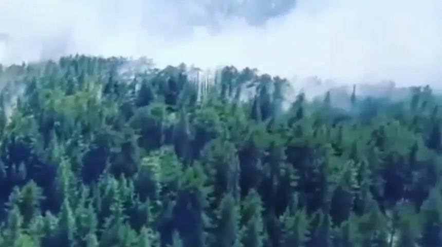 Antalya'da orman yangını: Ekipler seferber oldu