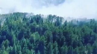 Antalya'da orman yangını: Ekipler seferber oldu