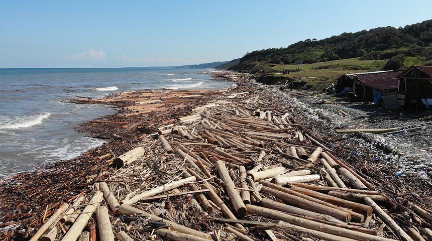 Sahile ulaştı! Tomrukların altında ceset arıyorlar