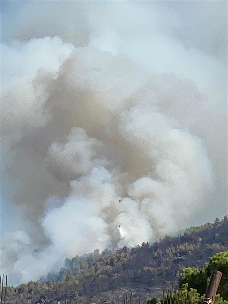 Aydın’da ormanlık alanda yangın çıktı G1