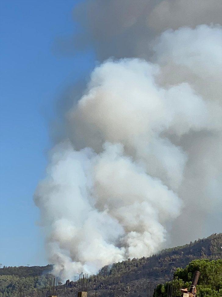 Aydın’da ormanlık alanda yangın çıktı G3