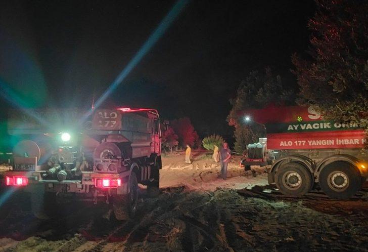 GÜNCELLEME - Çanakkale'nin Ezine ilçesinde çıkan orman yangını kontrol altına alındı G2