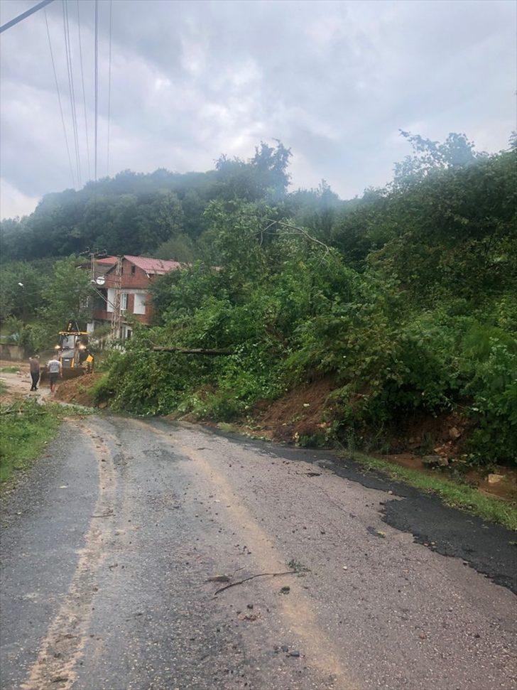 Ordu'da bir haftada 671 noktada heyelan meydana geldi G3