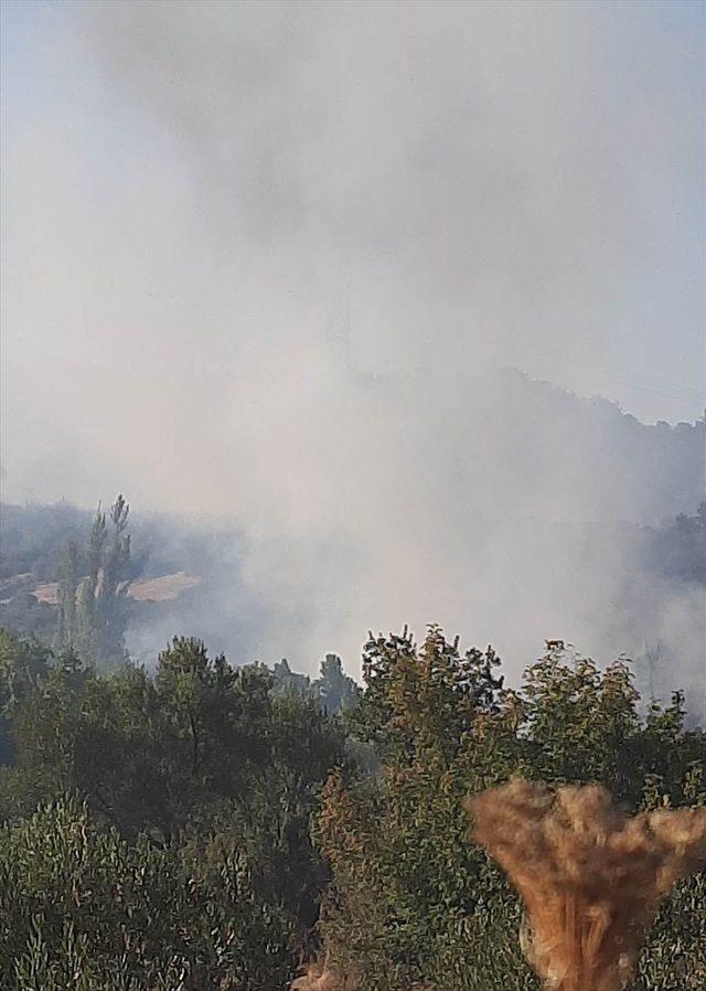 Manisa'da çıkan orman yangını kontrol altına alındı