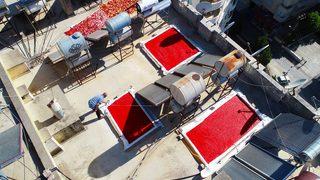 Her yer kırmızıya boyandı! Fiyatı 1,5 lira