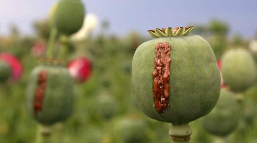 Çocuklara sorumluluk duygusu verin